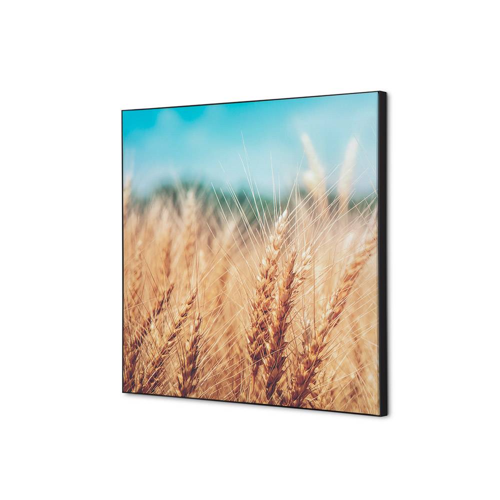 Wanddekoration Set 40x40 Getreidefeld