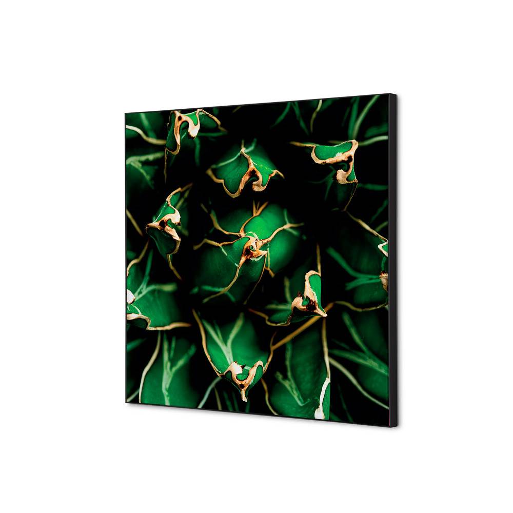 Wanddekoration Set 40x40 Kaktus gn