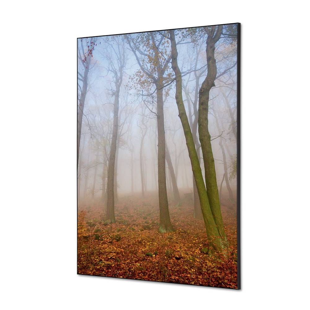 Wanddekoration Set A1 Meeresfelsen