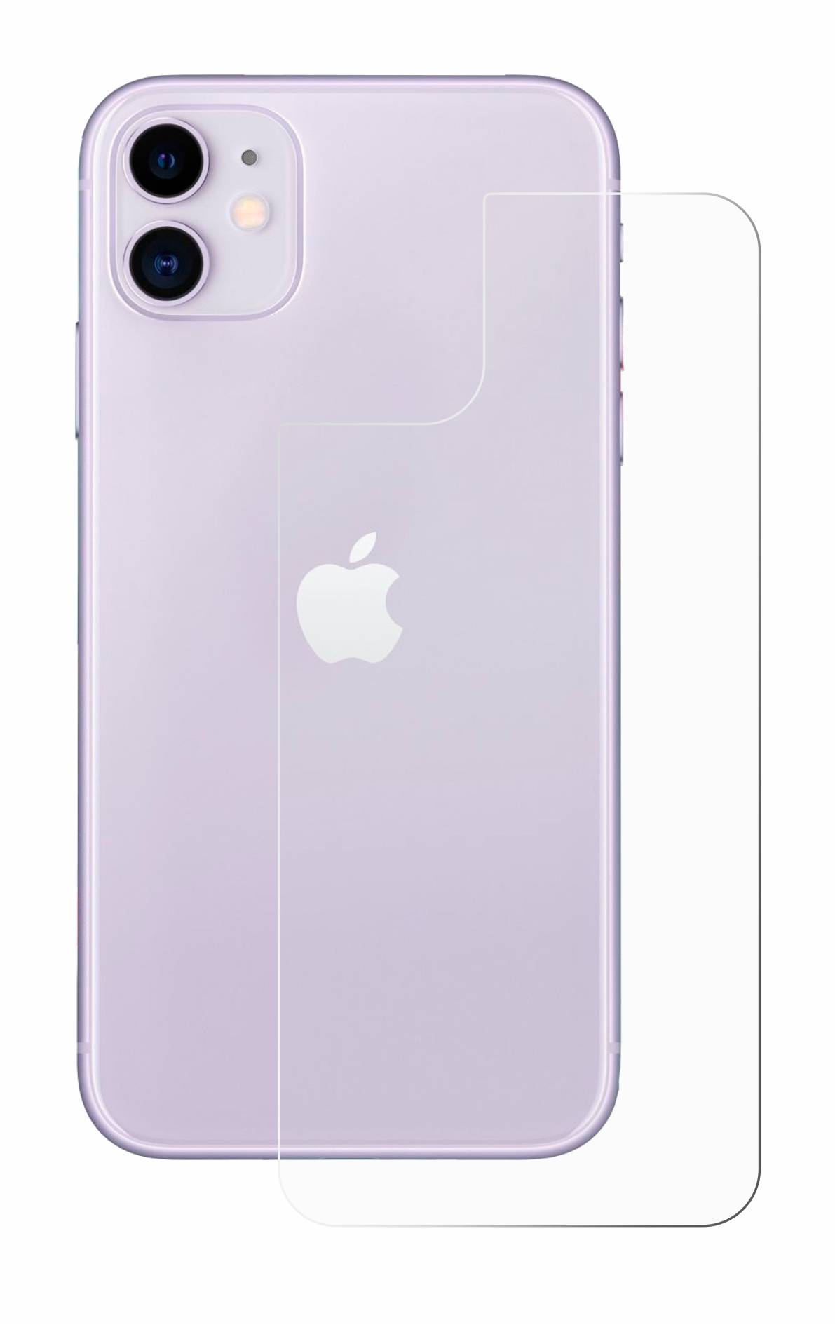 upscreen Scratch Shield Schutzfolie für Apple iPhone 11 (Rückseite)