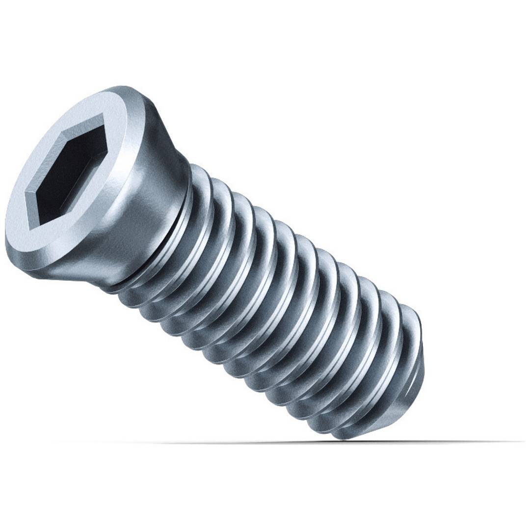 Fein 10x Klemmschraube SX - 31350076000