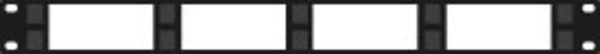 Danicom - 19 Zoll Kabelführungsleiste Kunststoff – 1 HE