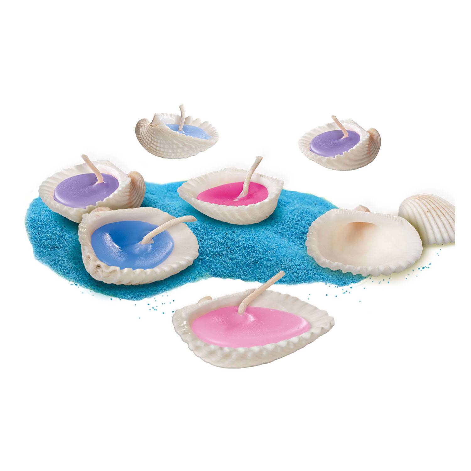 Von der Natur inspirierte Muschelkerzen von SES