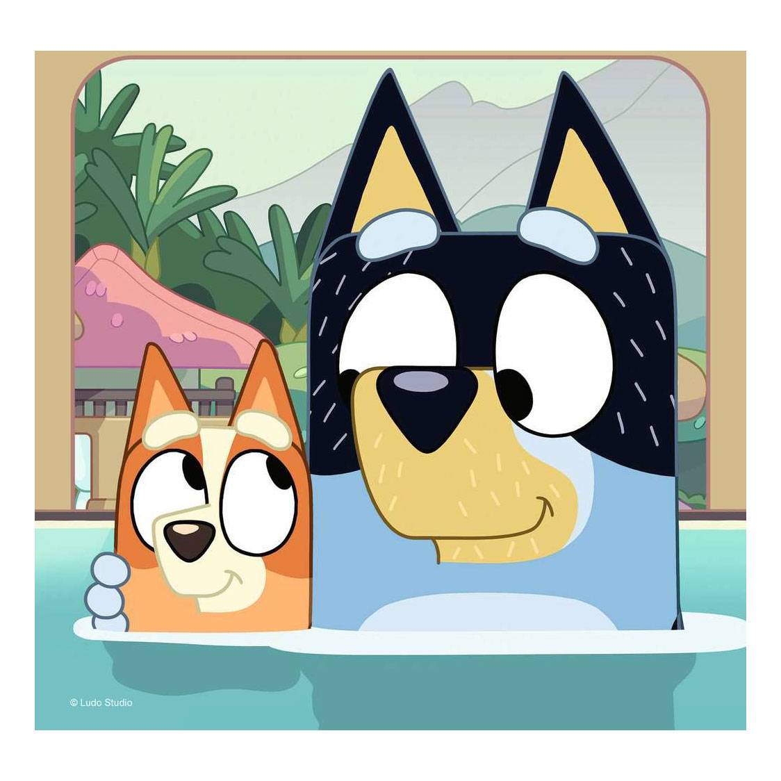 Ravensburger , 1x -04005556056859