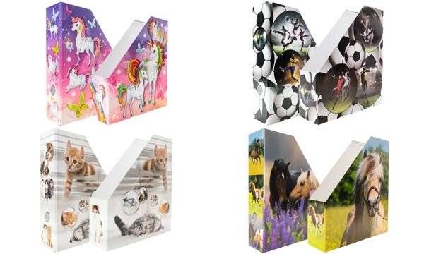 Stehsammler Karton Katzen