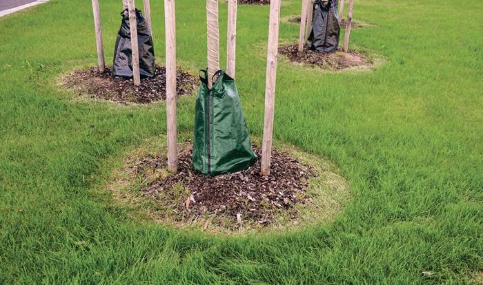 Baumbewässerungssack 55l TECTOR