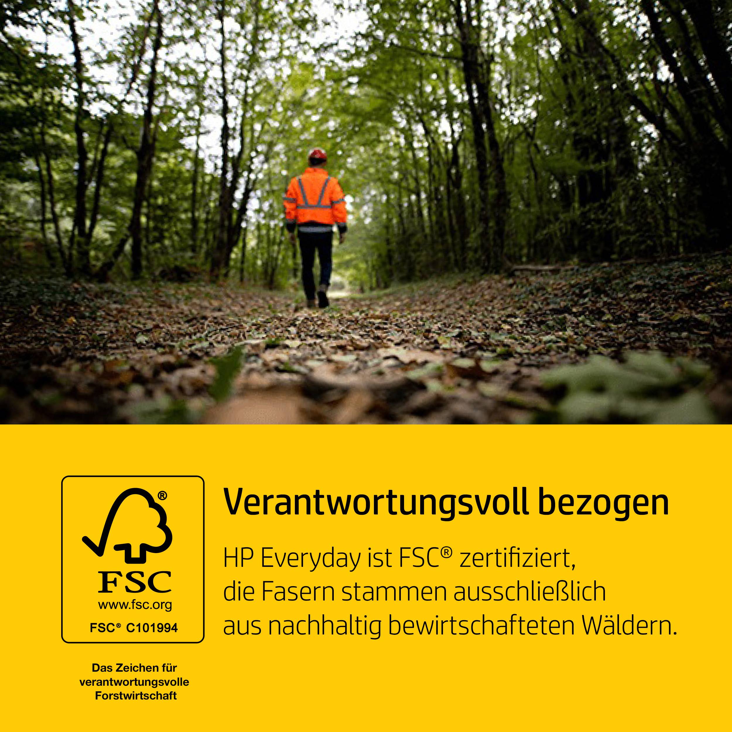 HP 3141725003260, 1x -03141725003260