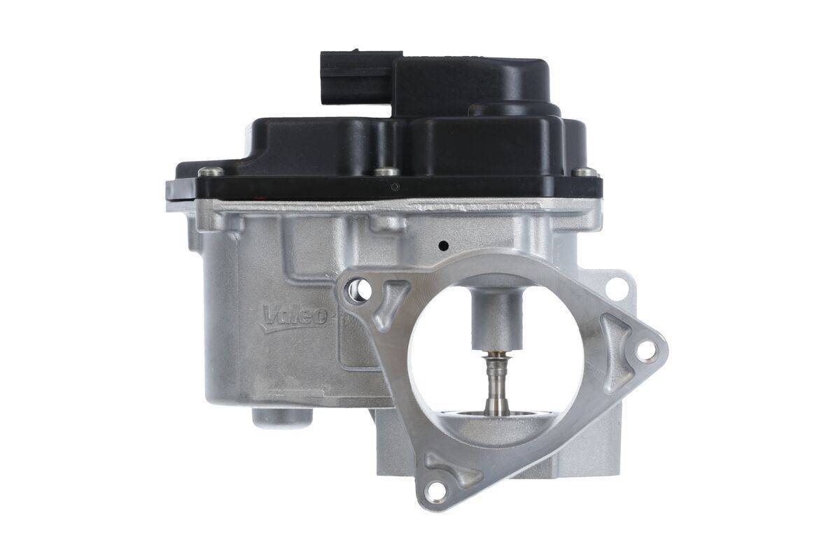 Valeo 700424 AGR-Ventil