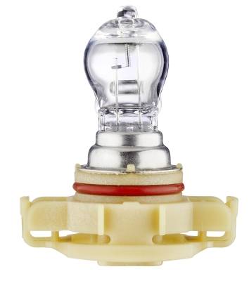 HELLA 8GA 223 569-001 Gluehlampe, Nebelscheinwer