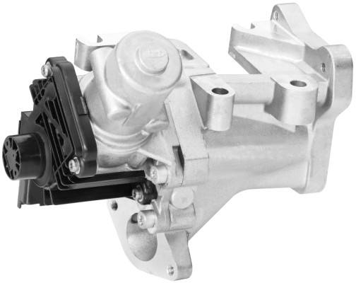 HELLA 6NU 010 171-231 AGR-Ventil - elektrisch - mit Dichtung
