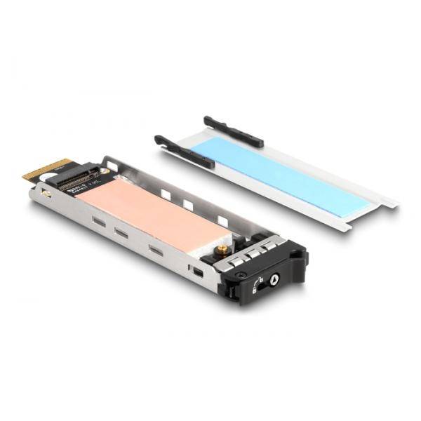 DELOCK Wechselrahmen PCI Express Karte für 1 x M.2 NVMe SSD