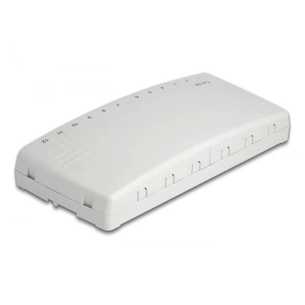 Delock Patch Panel - geeignet für Wandmontage, under table mountable - CAT 6a -