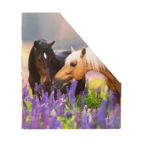 Stehsammler Karton Pferde