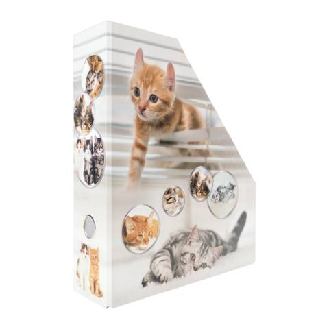 Stehsammler Karton Katzen