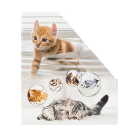 Stehsammler Karton Katzen