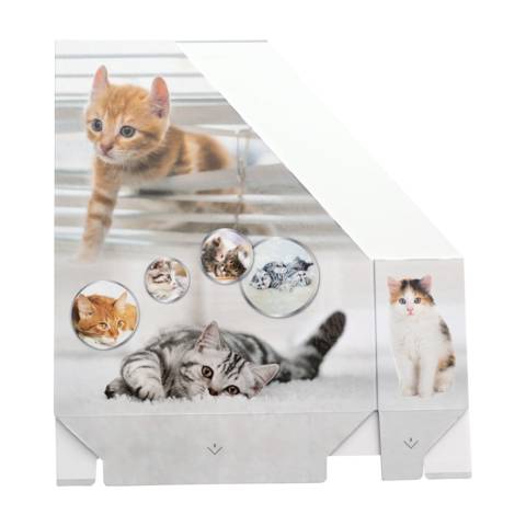 Stehsammler Karton Katzen