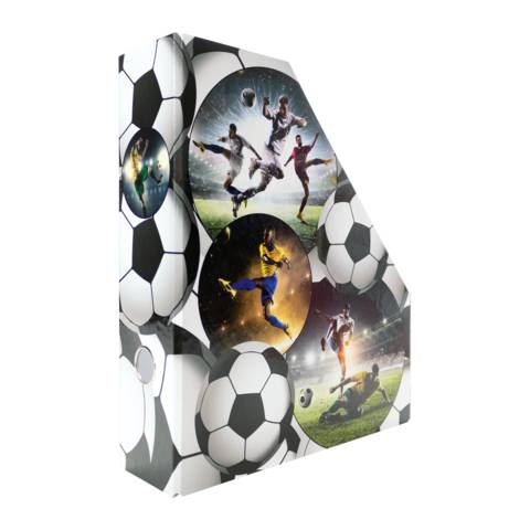 Stehsammler Karton Fussball