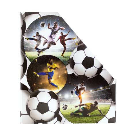 Stehsammler Karton Fussball