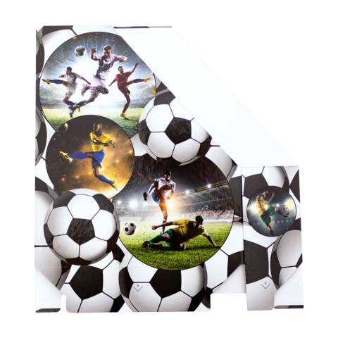 Stehsammler Karton Fussball