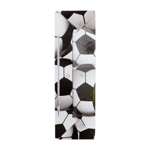 Stehsammler A4 Fussball