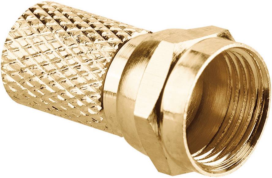 Ein koaxialer F-Stecker aus Metall, der für den Anschluss von Antennenkabeln verwendet wird.