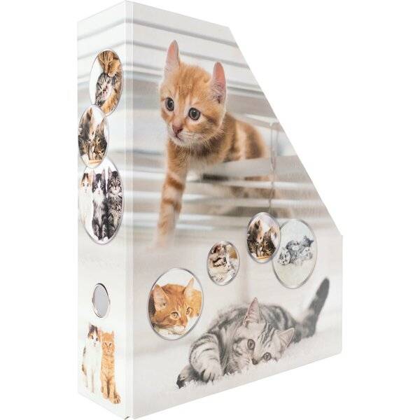 Stehsammler Karton Katzen
