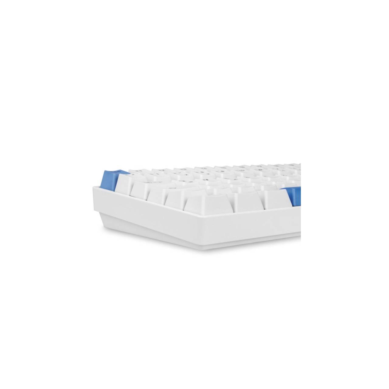 Sharkoon SKILLER SGK50 S3 PBT Tastatur Mekanisk RGB Kablet TyskSharkoon