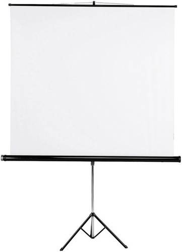 18790 18790 Stativleinwand 125 x 125cm Bildformat: 1:1