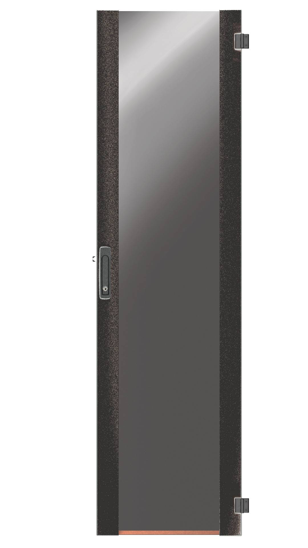 EFB Tür für PRO 42HE, B=800, Glas, 1-teilig, SH RAL9005, mit