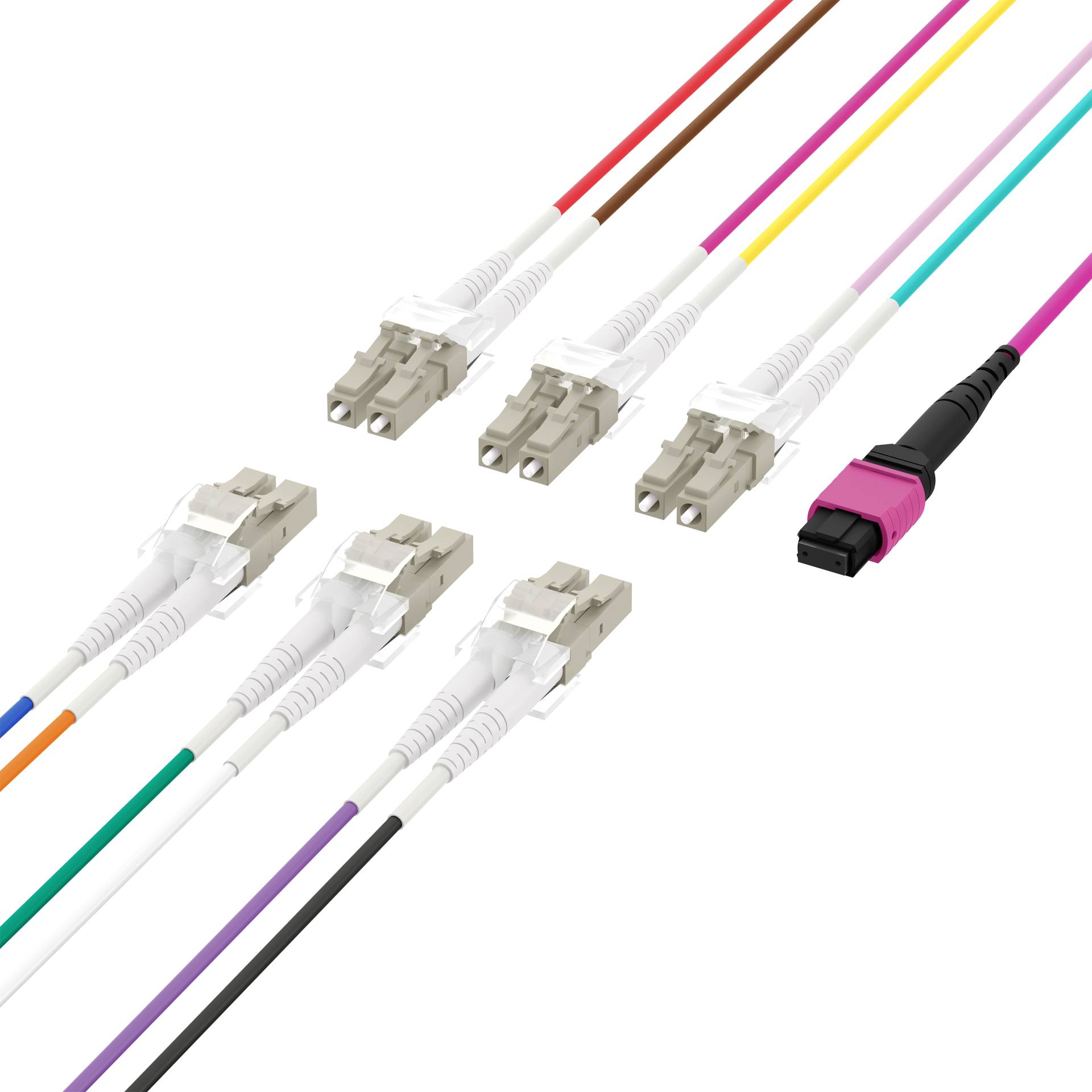 MTP®(F)-LC Trunkkabel OM4 12 Fasern, Typ B LSZH erika-violett 1m Glasfaserverkabelung MPO / MTP MPO