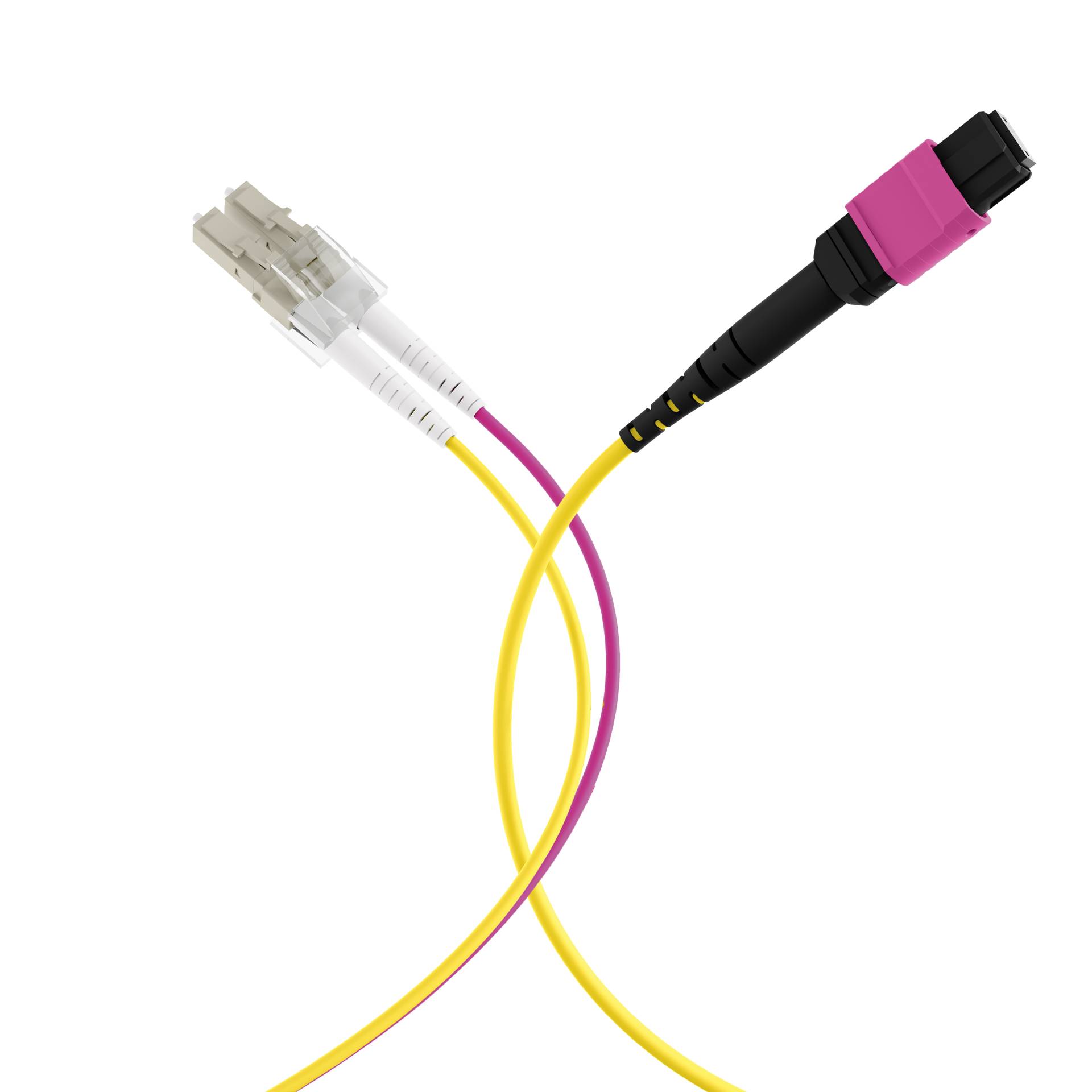 MTP®(F)-LC Trunkkabel OM4 12 Fasern, Typ B LSZH erika-violett 1m Glasfaserverkabelung MPO / MTP MPO