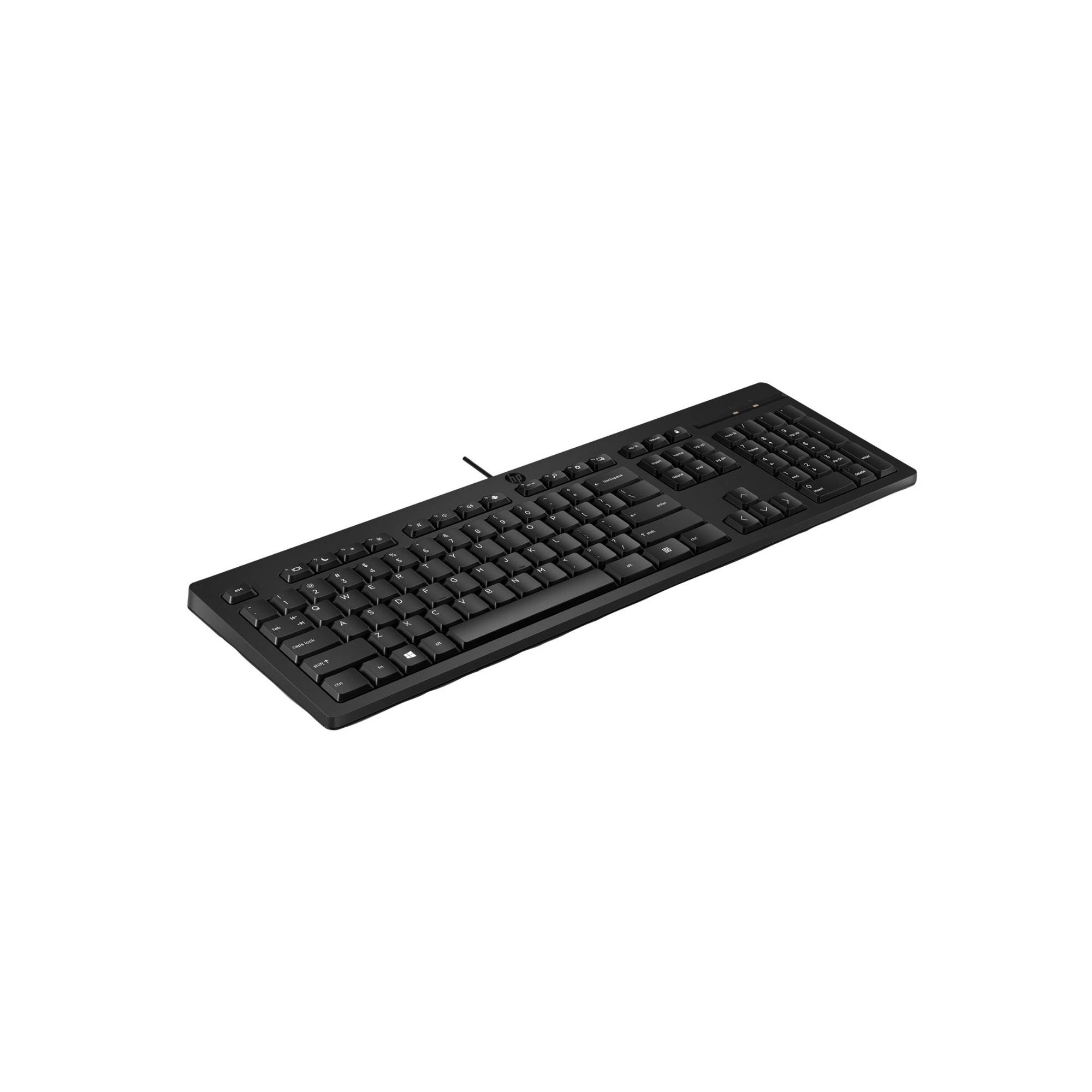 HP 125 G2 - Tastatur - 100% - full size - USB