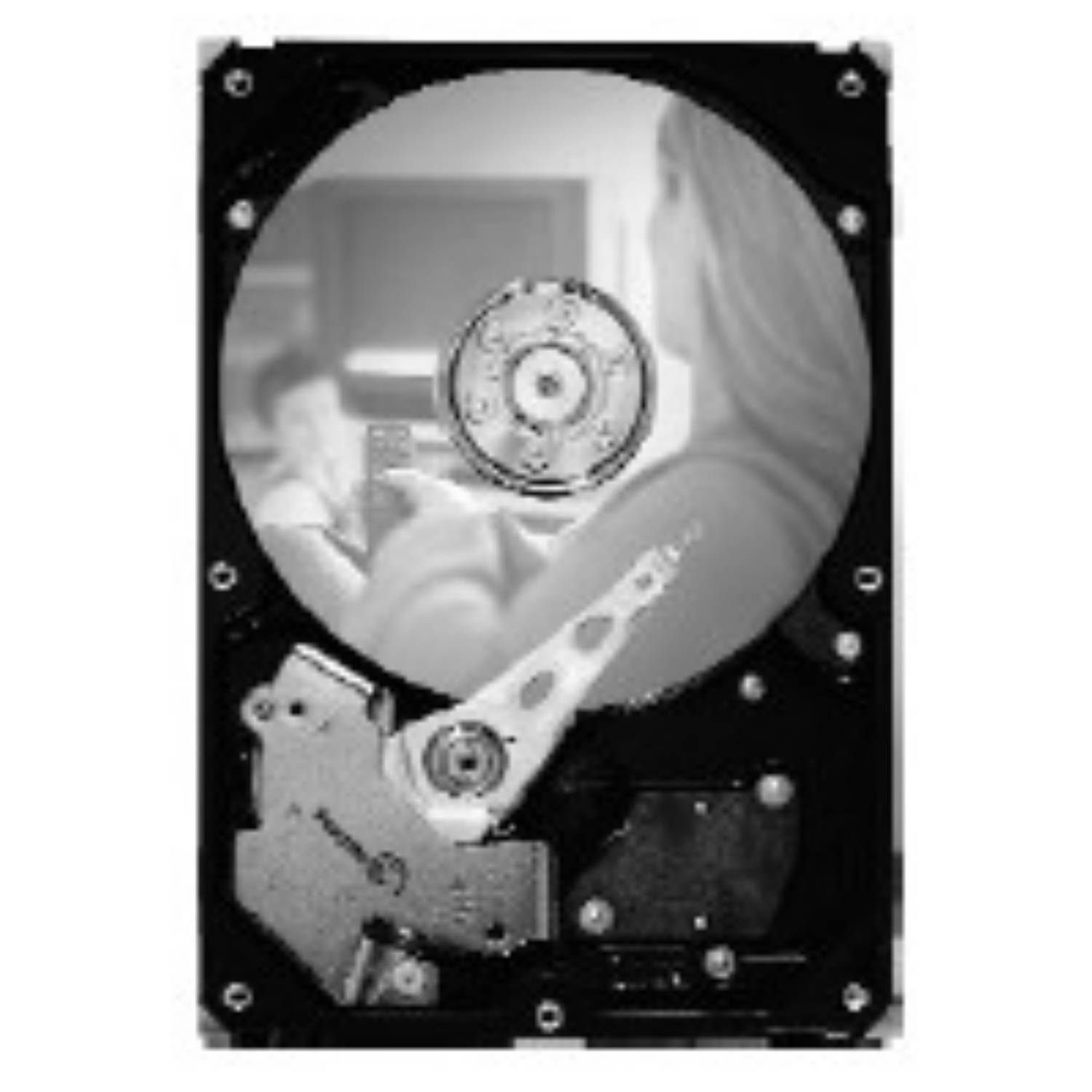 Seagate DB35.3 Series ST3250820SCE - Festplatte - 250 GB - intern - 3.5" (8.9 cm)