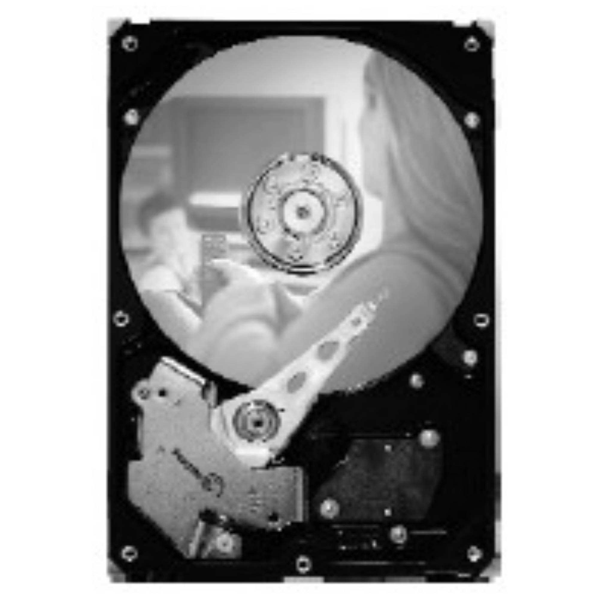 Seagate DB35.3 Series ST3250820SCE - Festplatte - 250 GB - intern - 3.5" (8.9 cm)