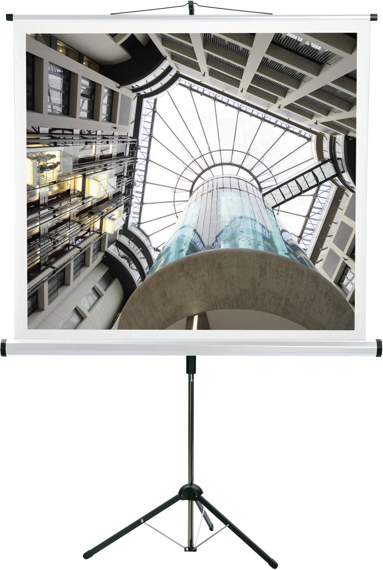 Medium CombiFlex Budget 16411 Rolloleinwand 180 x 180 cm Bildformat: 1:1, 4:3, 16:9