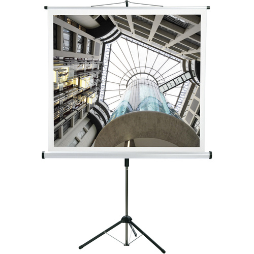 Medium CombiFlex Budget 16410 Rolloleinwand 150 x 150cm Bildformat: 1:1, 4:3, 16:9