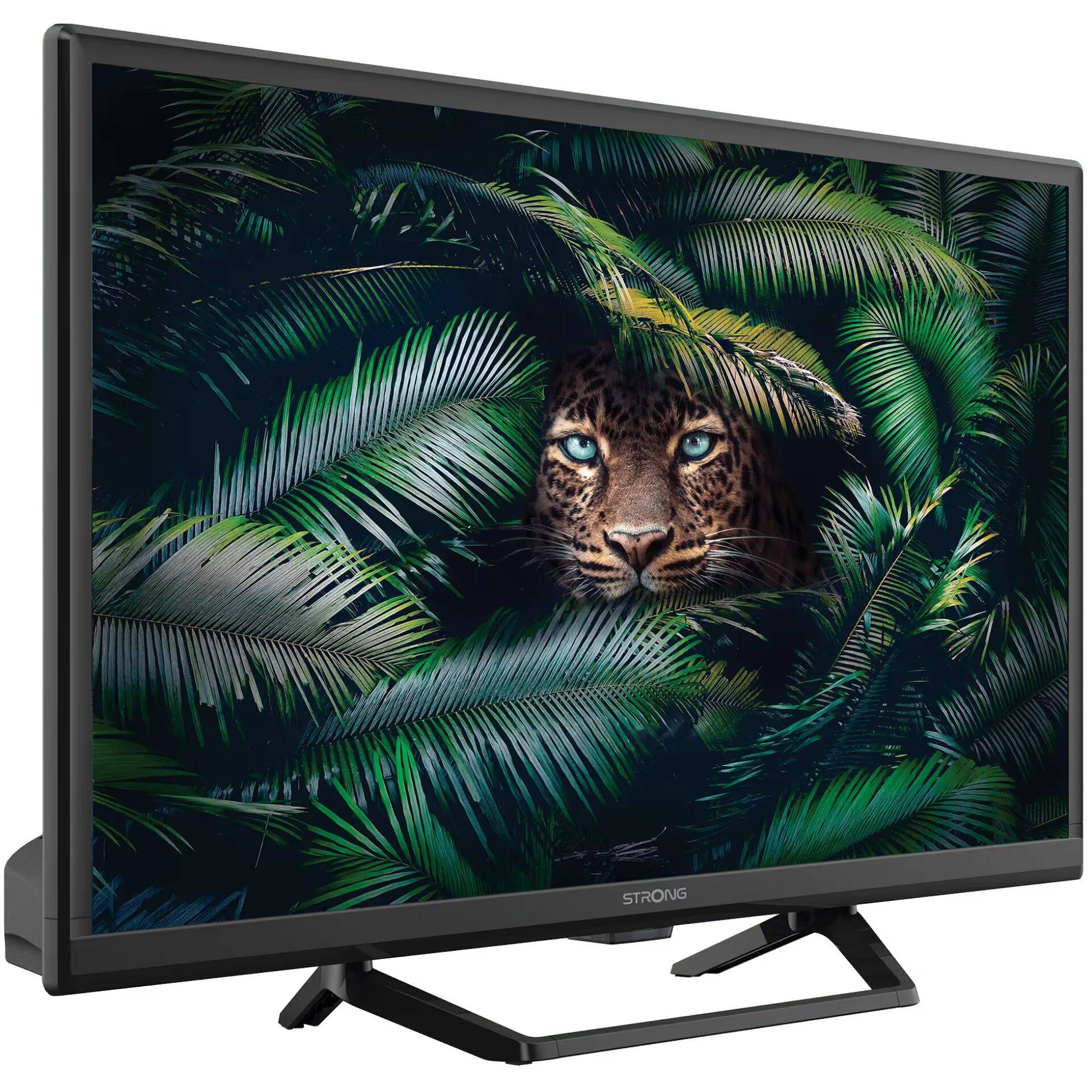 Strong SRT 24HE4023C, 61 cm (24"), 1366 x 768 Pixel, HD, LCD, DVB-T2, DVB-C, DVB-S2, Schwarz