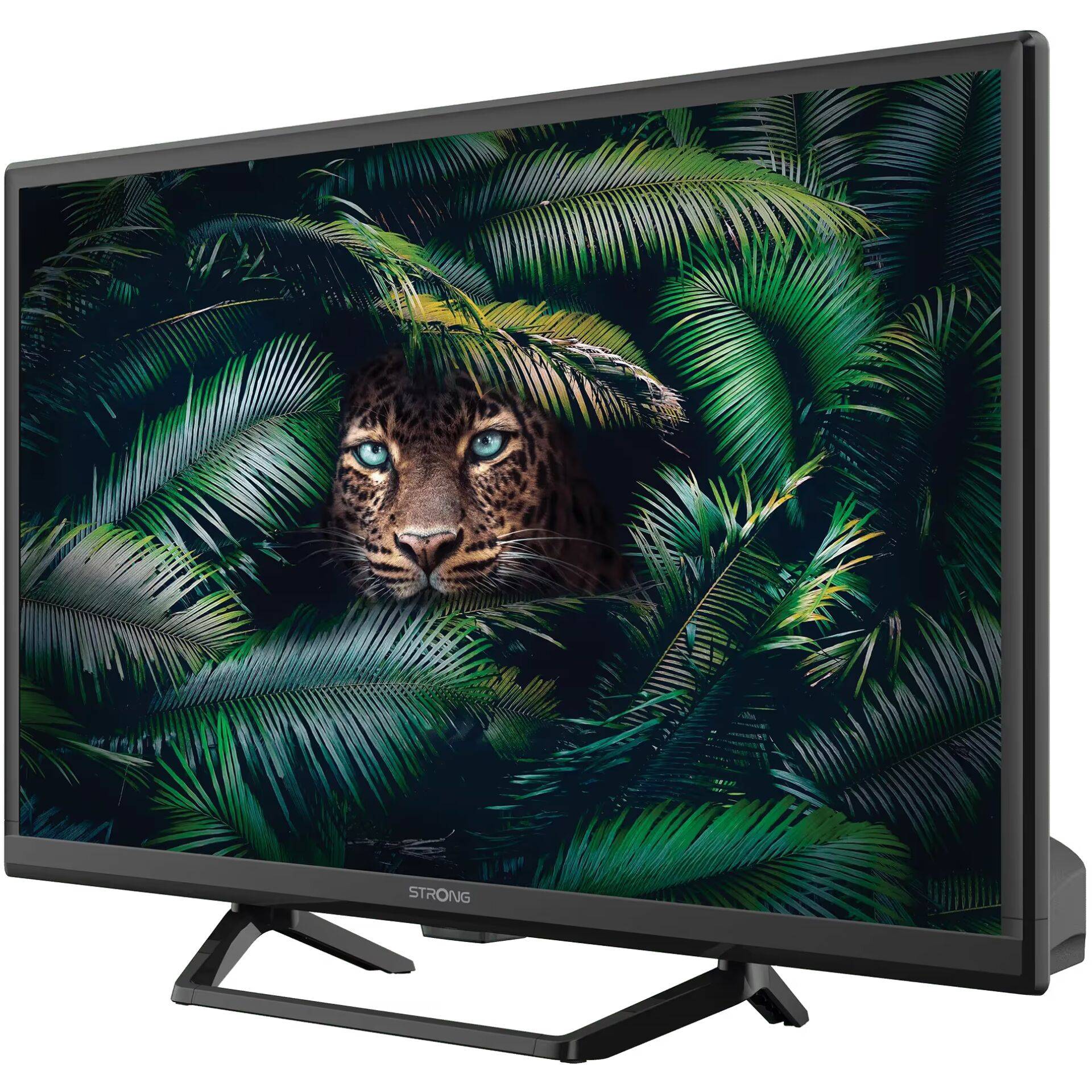 Strong SRT 24HE4023C, 61 cm (24"), 1366 x 768 Pixel, HD, LCD, DVB-T2, DVB-C, DVB-S2, Schwarz