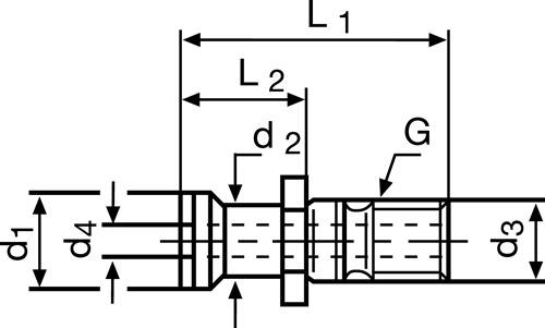 Anzugsbolzen ISO 7388/IIB SK40 m.Bohr.TECWERK