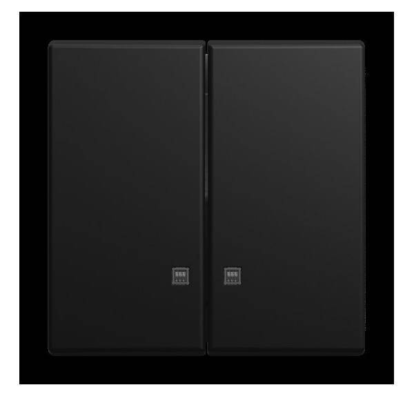 BJ Wippe 2505 K-915 Serien-Kontrollschalter Busch-balance