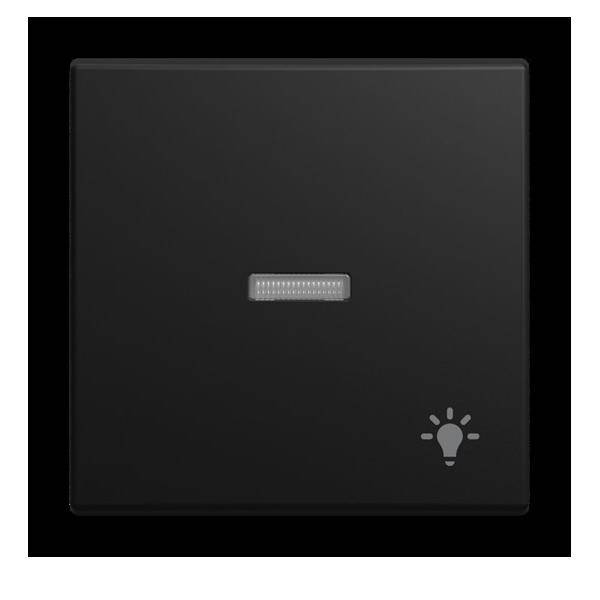 BJ Wippe m.Aufdruck Licht 1789 LI-915 transp. Kalotte schwarz matt Install.Baumaterial Schalter
