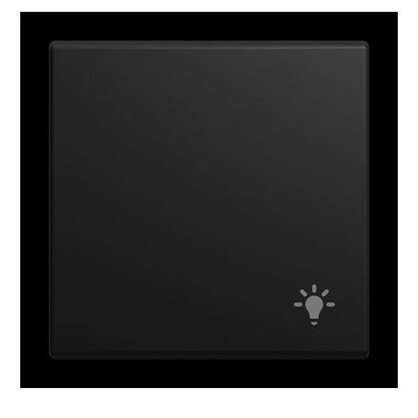 Busch-Jaeger Wippe mit Aufdruck 2520 LI-915