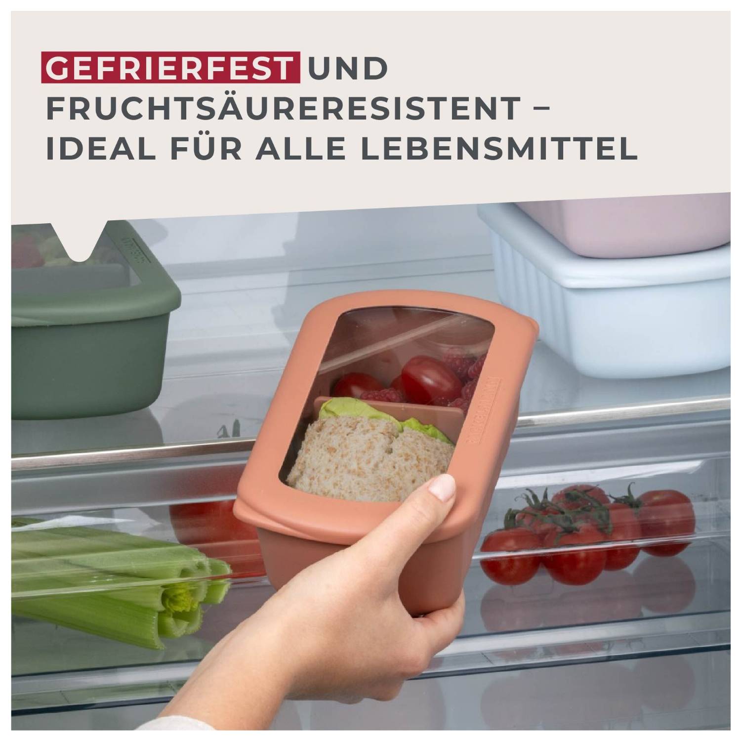 Fackelmann Flexibox Be The Move, rostrot, 1000ml, 3-tlg., Brotdose, Erwachsener, Rot, Polypropylen (PP), Rechteckig, 1 l