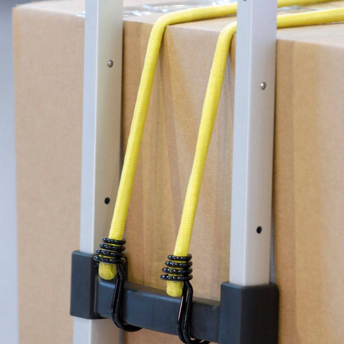 10x1 Gummispannseil Plastikgestell 3043EURDAT