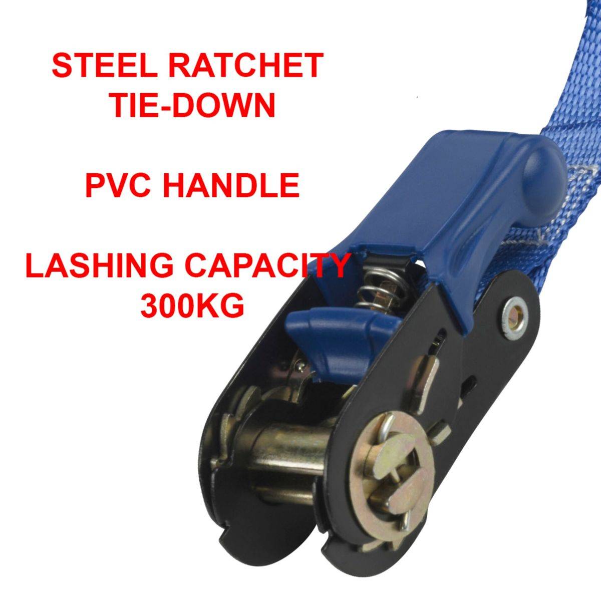 MASTERLOCK - MASTER LOCK 5 m x 25 mm Zurrgurt mit Druckratsche, endlos; blau, Blau, Polyvinylchlorid (PVC), J-Haken, Umz