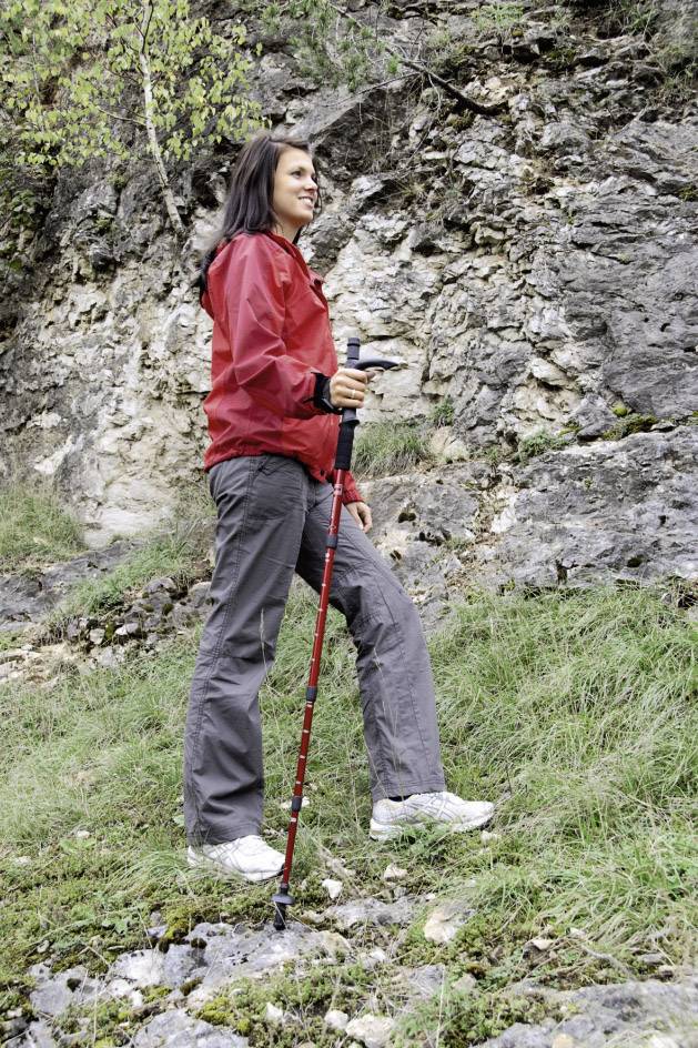 Hama Alpenstock Einbeinstativ 1/4 Zoll Arbeitshöhe=67 - 141 cm Schwarz