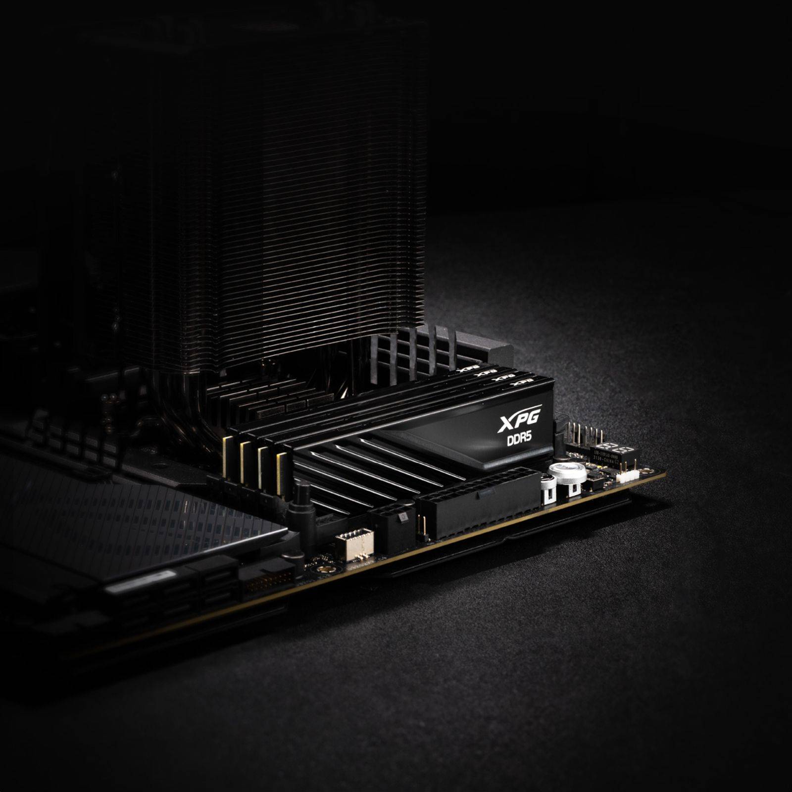 DIMM 16 GB DDR5-5600 (2x 8 GB) Dual-Kit, Arbeitsspeicher