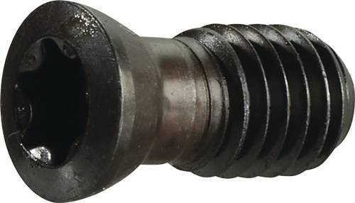 Spannschraube US 4511 Gr.T20 f.SEKT/SEET 1204 z.Planfräser TECWERK