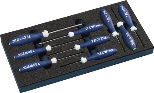 Werkzeugmodul 9-tlg.1/3-Modul T 6-T 30 TECWERK
