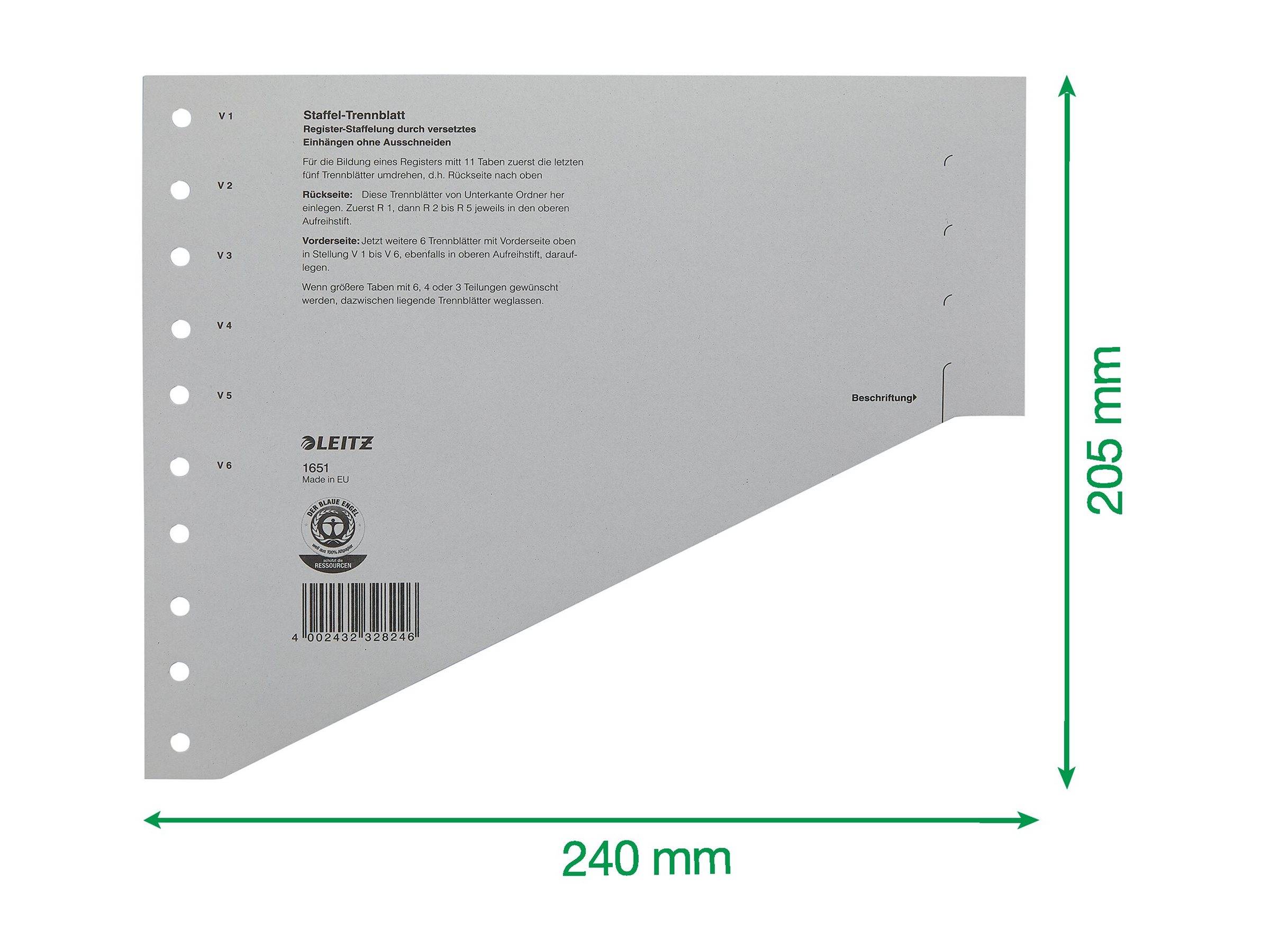 Esselte Leitz Trennelement - für A4 (210 x 297 mm)